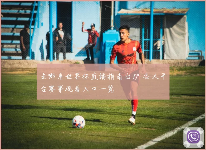 去哪看世界杯直播指南出炉 各大平台赛事观看入口一览