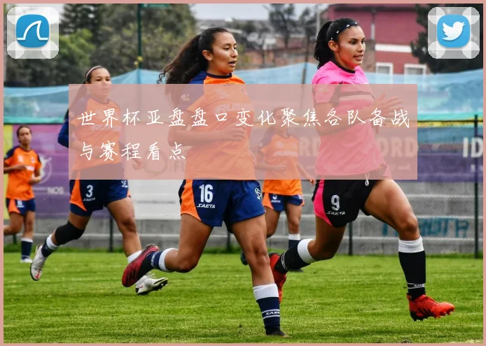 世界杯亚盘盘口变化聚焦各队备战与赛程看点