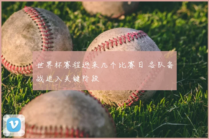 世界杯赛程迎来几个比赛日 各队备战进入关键阶段