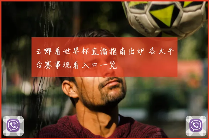 去哪看世界杯直播指南出炉 各大平台赛事观看入口一览