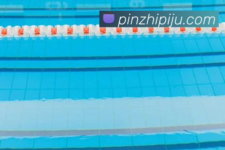 世界杯体育app官网服务体系